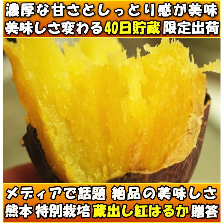 さつまいも 紅はるか 熟成 完熟 5kg 送料無料 熊本 益城町 特別栽培