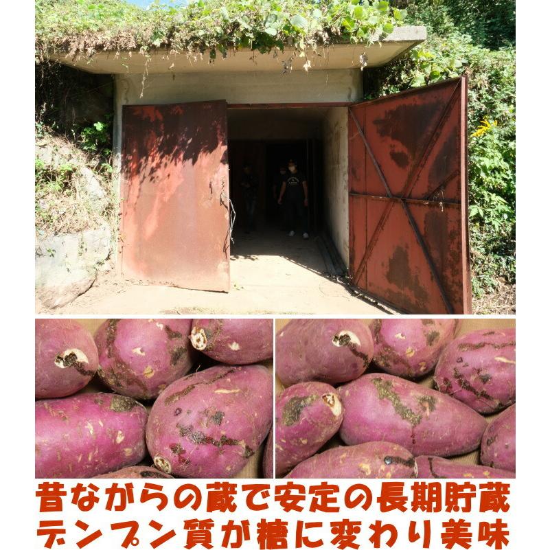 さつまいも 紅はるか 熟成 完熟 5kg 送料無料 熊本 益城町 特別栽培