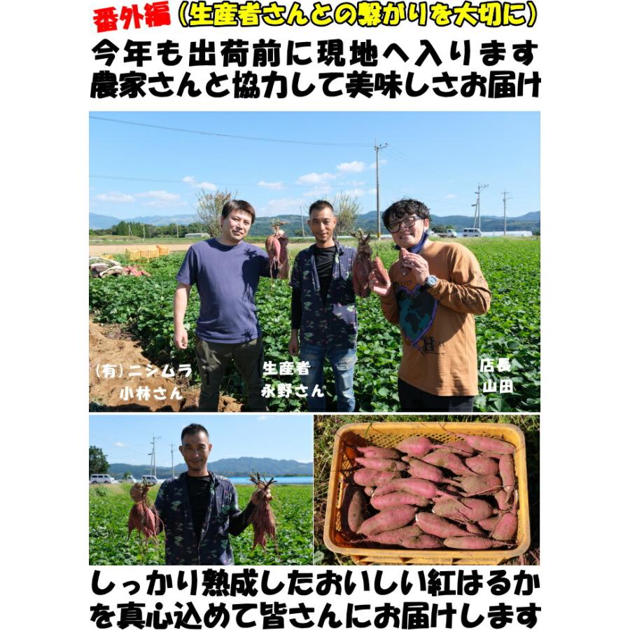 さつまいも 紅はるか 熟成 完熟 5kg 送料無料 熊本 益城町 特別栽培