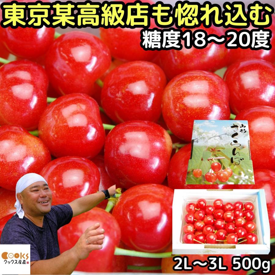 さくらんぼ 紅秀峰 大将錦 お中元 ギフト 500g 2l - 3l 大玉