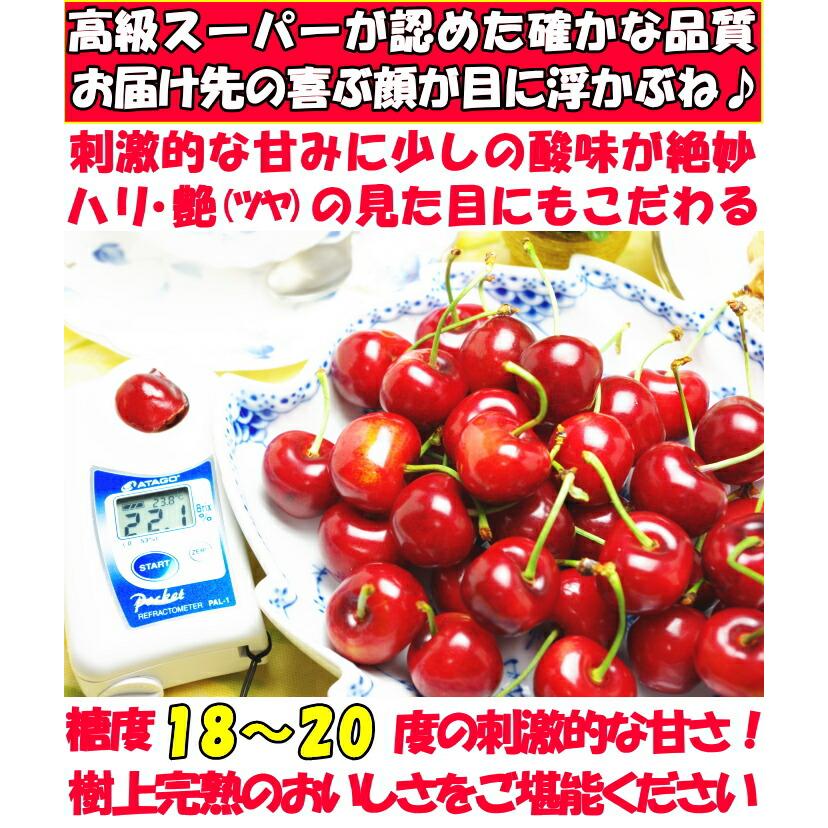 さくらんぼ 佐藤錦 紅秀峰 お中元 ギフト 500g 2l - l プレゼント 山形県 寒河江 完熟さくらんぼ 御中元 贈答用｜cooksanchoku｜12