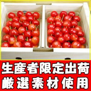 冷蔵配送】 さくらんぼ 500g l- 2l- 3l 紅秀峰 佐藤錦 大将錦 紅王