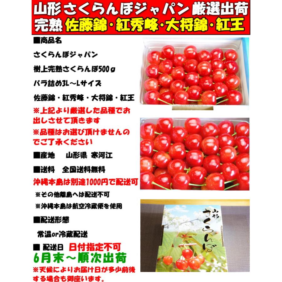 冷蔵配送】 さくらんぼ 500g l- 2l- 3l 紅秀峰 佐藤錦 大将錦 紅王