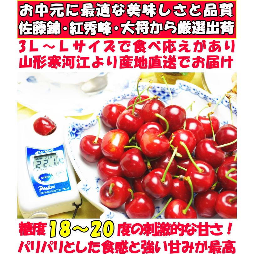 冷蔵配送】 さくらんぼ 500g l- 2l- 3l 紅秀峰 佐藤錦 大将錦 紅王