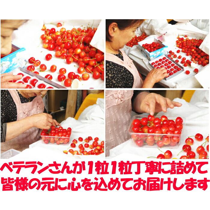 冷蔵配送】 さくらんぼ 500g l- 2l- 3l 紅秀峰 佐藤錦 大将錦 紅王