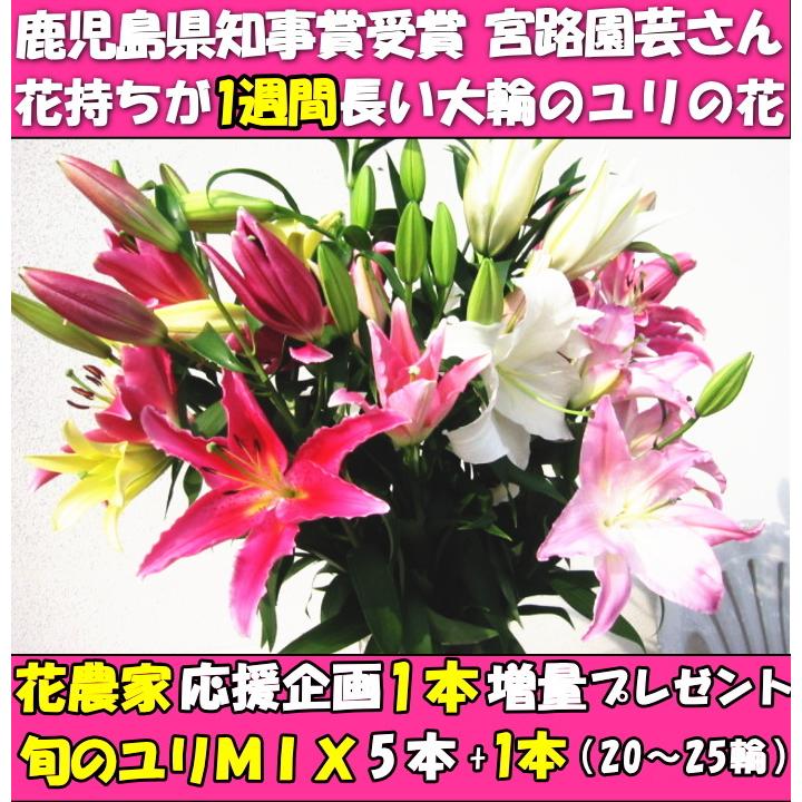 花 ユリ 母の日 花束 大輪 ギフト ミックス 5本 1本 増量 25輪 誕生日 ゴージャス 花持ちが１週間違う 花農家直送 生花 百合 旬の ゆり Mix Hana 10 クックス産直ヤフー店 通販 Yahoo ショッピング