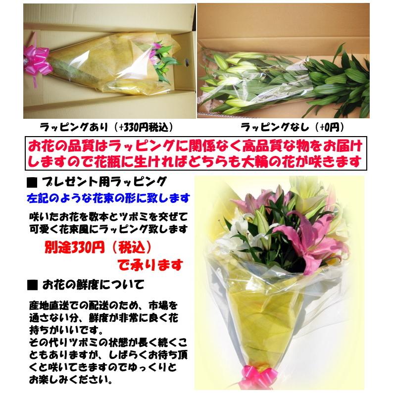 花 ユリ 母の日 花束 大輪 ギフト ミックス 10本 1本 増量 40 45輪 お歳暮 御中元 誕生日 ゴージャス 花持ちが１週間違う 花農家直送 生花 百合 旬の ゆり Mix Hana 11 クックス産直ヤフー店 通販 Yahoo ショッピング