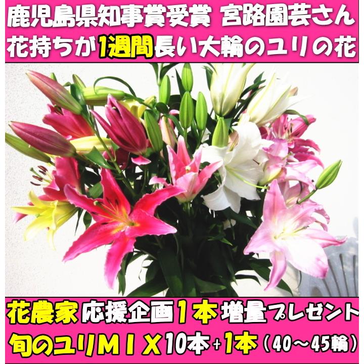 花 ユリ 母の日 花束 大輪 ギフト ミックス 10本 1本 増量 40 45輪 お歳暮 御中元 誕生日 ゴージャス 花持ちが１週間違う 花農家直送 生花 百合 旬の ゆり Mix Hana 11 クックス産直ヤフー店 通販 Yahoo ショッピング