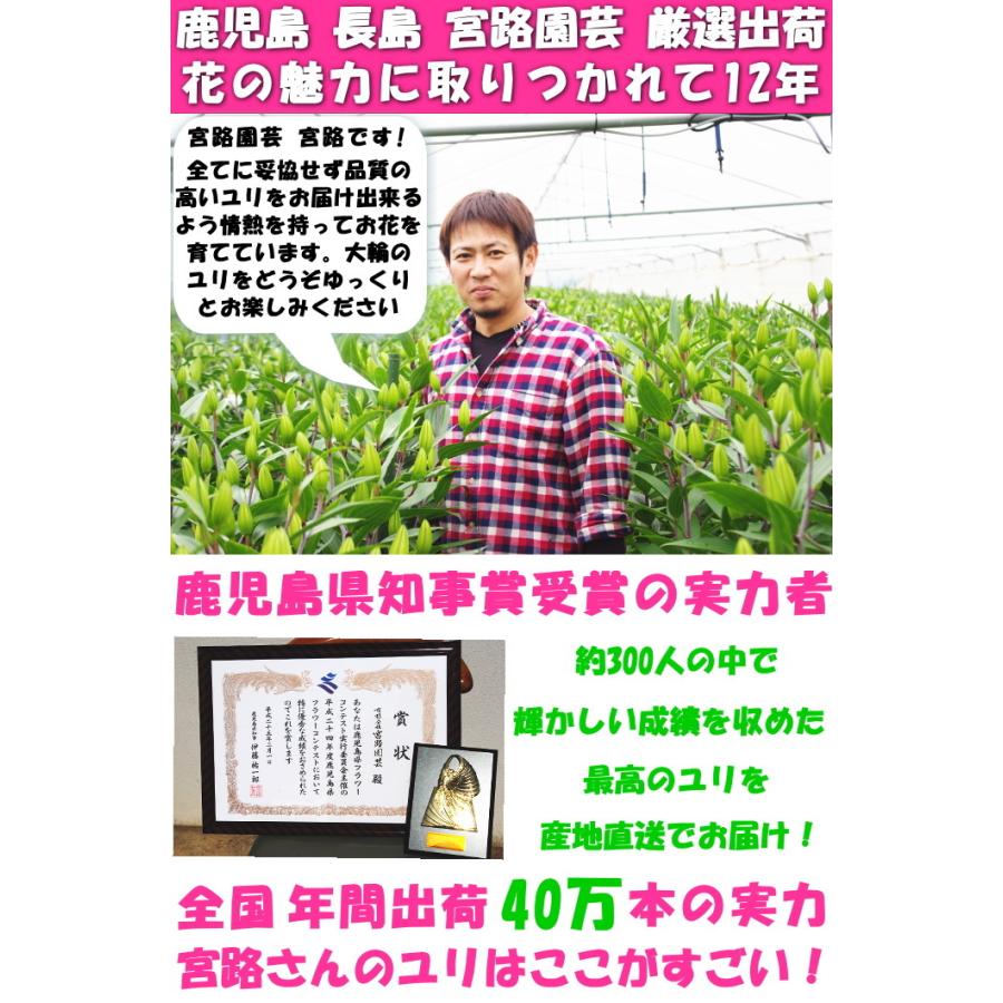 花 ユリ 花束 大輪 ギフト 白 10本 1本 増量 40 45輪 お歳暮 誕生日 ゴージャス プレゼント 花持ちが１週間違う 花農家直送 生花 百合 旬の ゆり ホワイト Hana 23 クックス産直ヤフー店 通販 Yahoo ショッピング