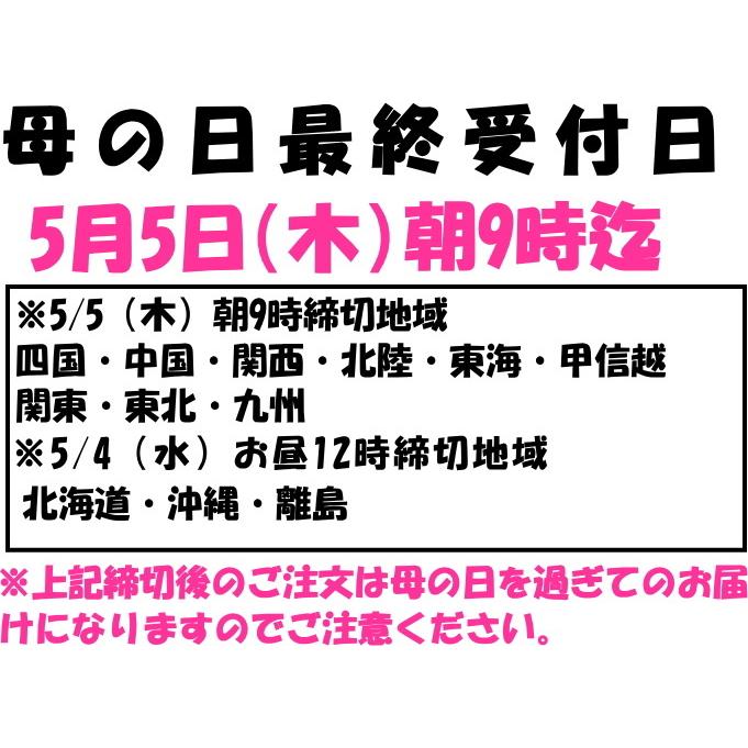 花 ユリ 花束 大輪 ギフト 白 10本 1本 増量 40 45輪 お歳暮 誕生日 ゴージャス プレゼント 花持ちが１週間違う 花農家直送 生花 百合 旬の ゆり ホワイト Hana 23 クックス産直ヤフー店 通販 Yahoo ショッピング