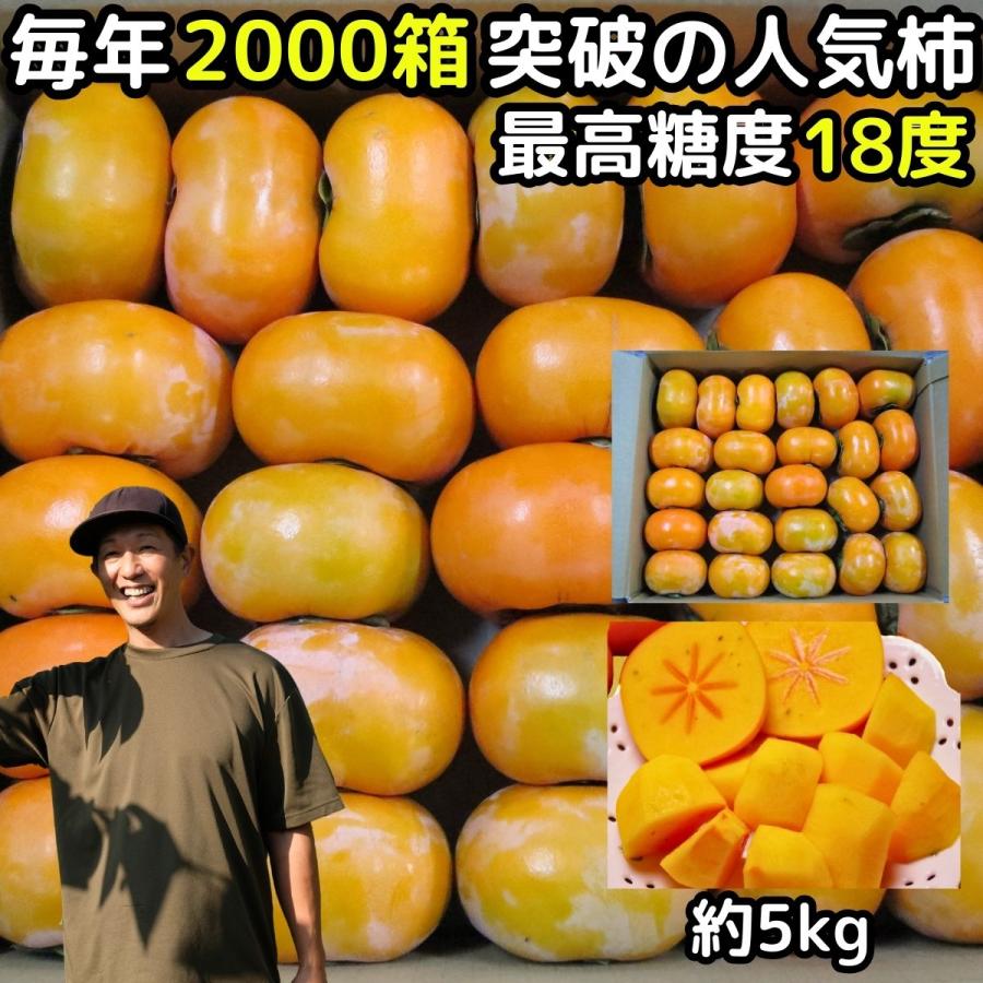 柿 訳あり たねなし 奈良約 西吉野 5kg 15〜25玉 柳澤果樹園 家庭用 種