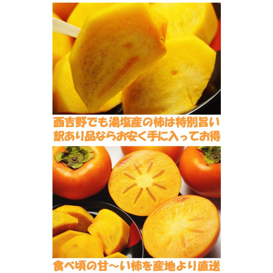 柿 訳あり 富有柿 4kg 増量約1kg 計5kg 約13～23玉 送料無料 甘柿の王様 奈良 西吉野 柳澤果樹園 家庭用 今だけスーパーセール限定