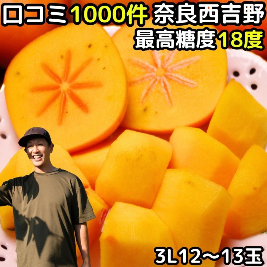 柿 種なし柿 3L 12〜13玉 約4kg 贈答用 奈良 西吉野 柳澤果樹園 口コミ