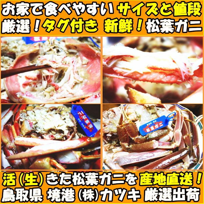 カニ 松葉ガニ タグ付き 日付指定OK  活 生 か ボイル 選択可 未冷凍 送料無料 国産 鳥取 境港直送 松葉蟹 姿 5尾 450〜550g×5尾 生食用 かに｜cooksanchoku｜05