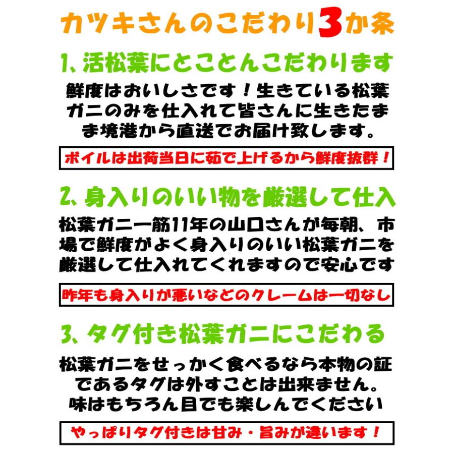 カニ 松葉ガニ タグ付き 日付指定OK 活 生 か ボイル 選択可 未冷凍 送料無料 国産 鳥取 境港 直送 松葉蟹 姿 1尾 650〜750g×1尾 生食用 かに｜cooksanchoku｜13