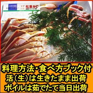 カニ 松葉ガニ タグ付き 日付指定OK 活 生 か ボイル 選択可 未冷凍 送料無料 国産 鳥取 境港 直送 松葉蟹 姿 1尾 650〜750g×1尾 生食用 かに｜cooksanchoku｜03