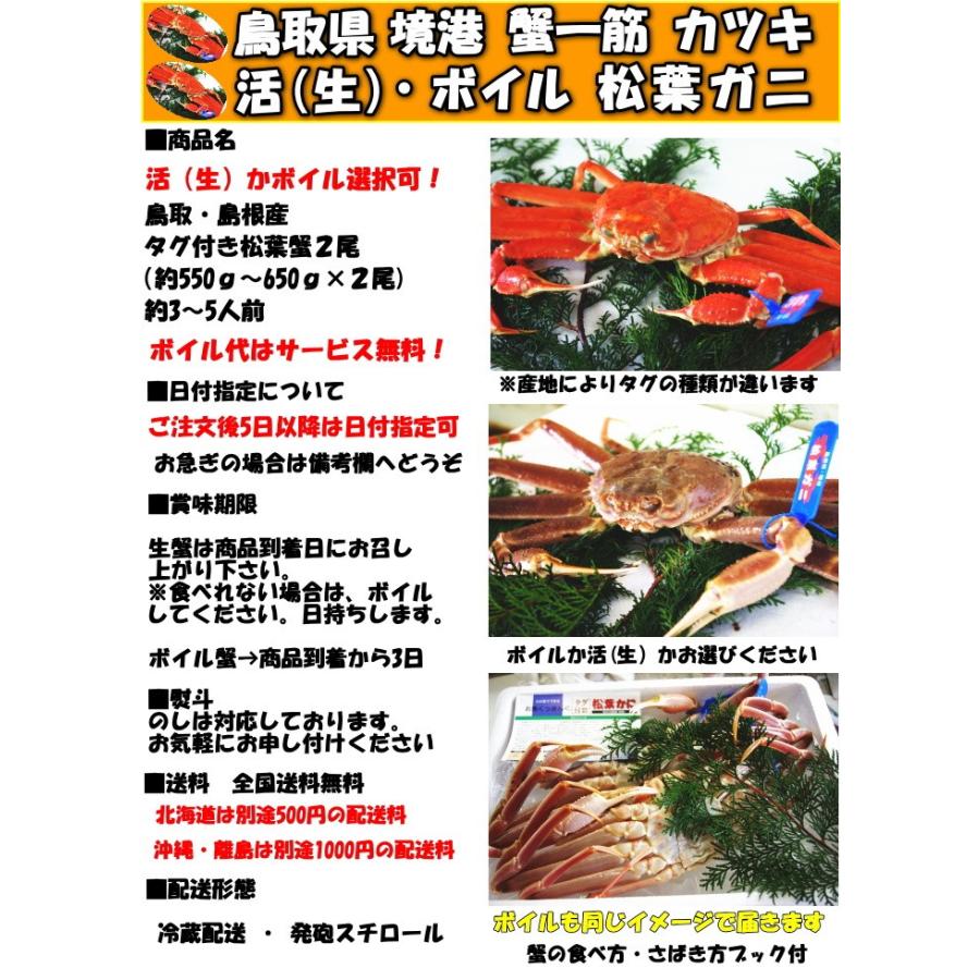 カニ 松葉ガニ タグ付き 日付指定OK  活 生 か ボイル 選択可 未冷凍 送料無料 国産 鳥取 境港 直送 松葉蟹 姿 2尾 550〜650g×2 生食用 かに｜cooksanchoku｜04