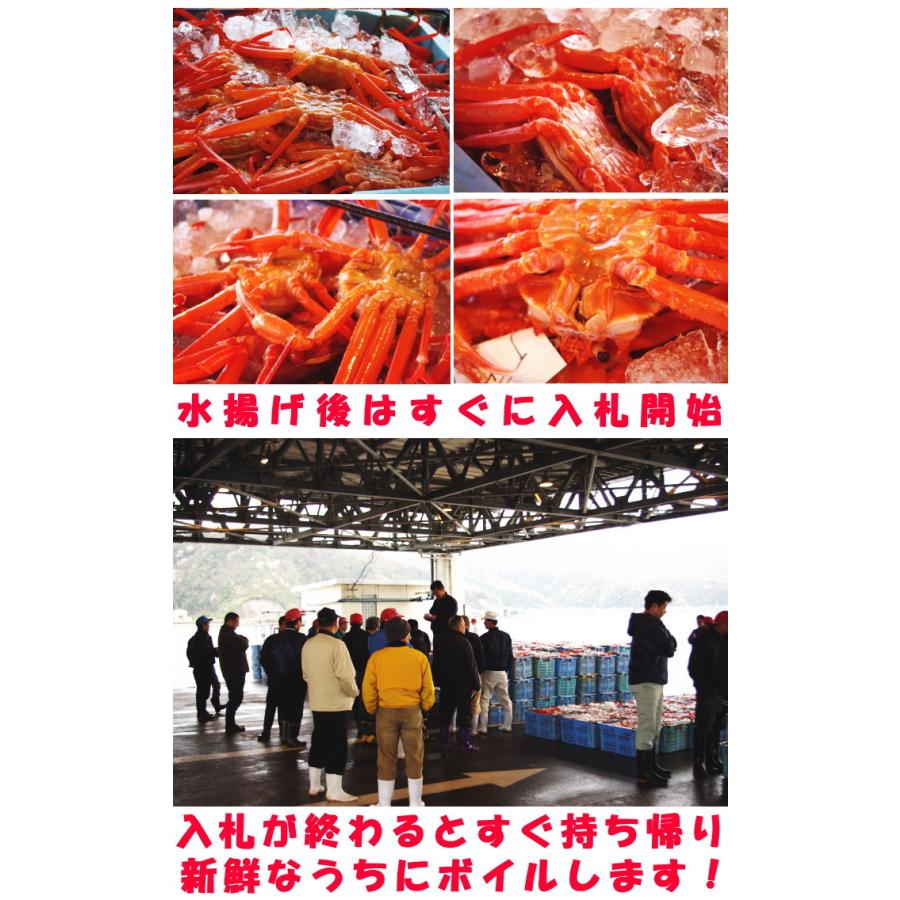 カニ 訳あり 紅ずわいがに 5尾 未冷凍 水揚げ当日出荷 新鮮 ボイル 蟹 送料無料 鳥取 境港直送 かに 姿 わけあり 紅ずわい蟹 B級品 5尾 Katsukibeni 06 クックス産直ヤフー店 通販 Yahoo ショッピング
