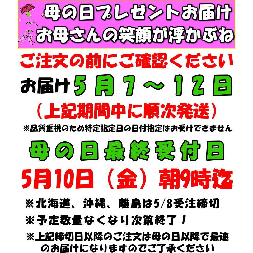 メロン 母の日 ギフト プレゼント 塩 アールスメロン 匠 大玉 1玉 3L〜4L 約1.8〜2kg 糖度15度 熊本 産地直送｜cooksanchoku｜15