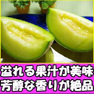 メロン 母の日 ギフト プレゼント 塩 アールスメロン 匠 大玉 1玉 3L