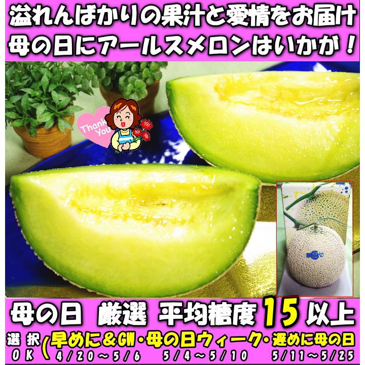 メロン 母の日 ギフト プレゼント 塩 アールスメロン 匠 大玉 1玉 3L