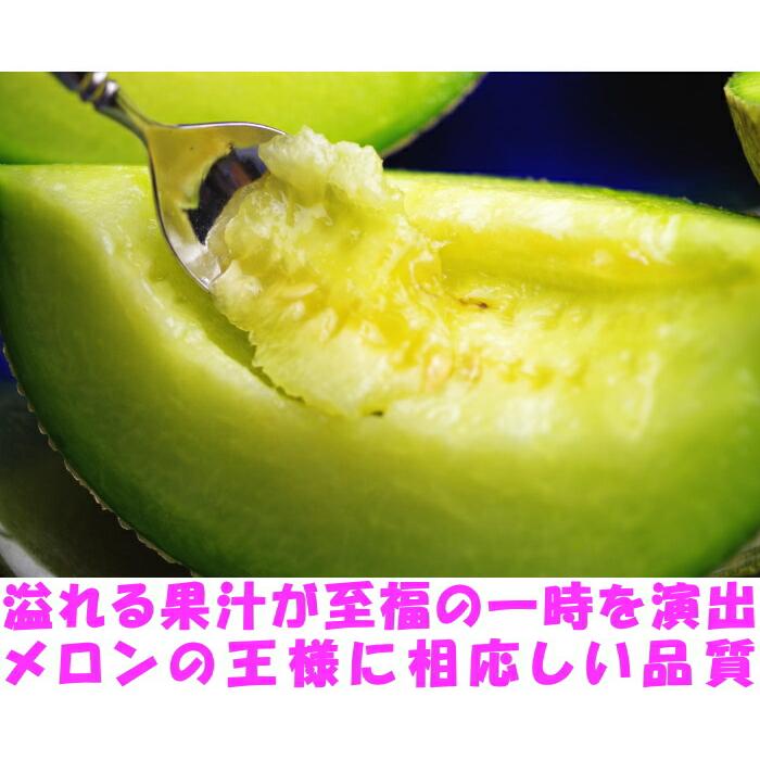 メロン 母の日 ギフト プレゼント 塩 アールスメロン 匠 大玉 1玉 3L