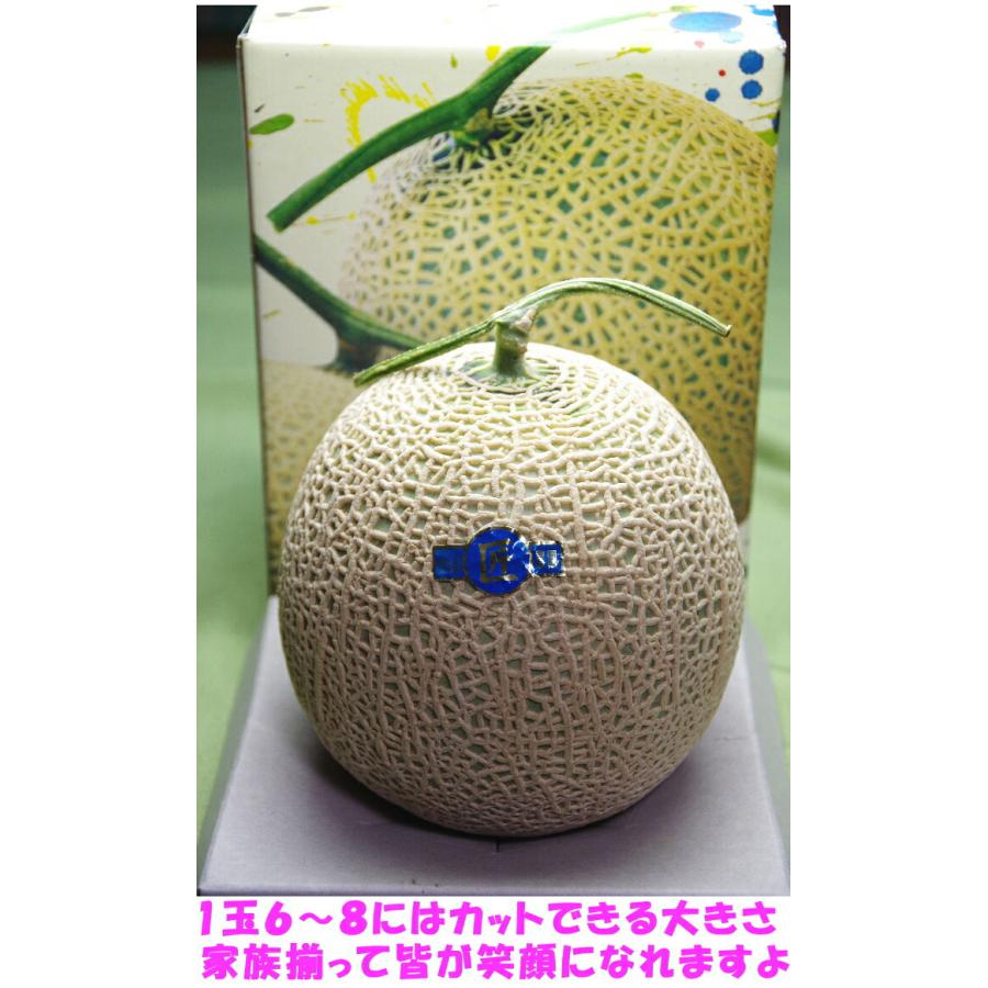 メロン 母の日 ギフト プレゼント 塩 アールスメロン 匠 大玉 1玉 3L