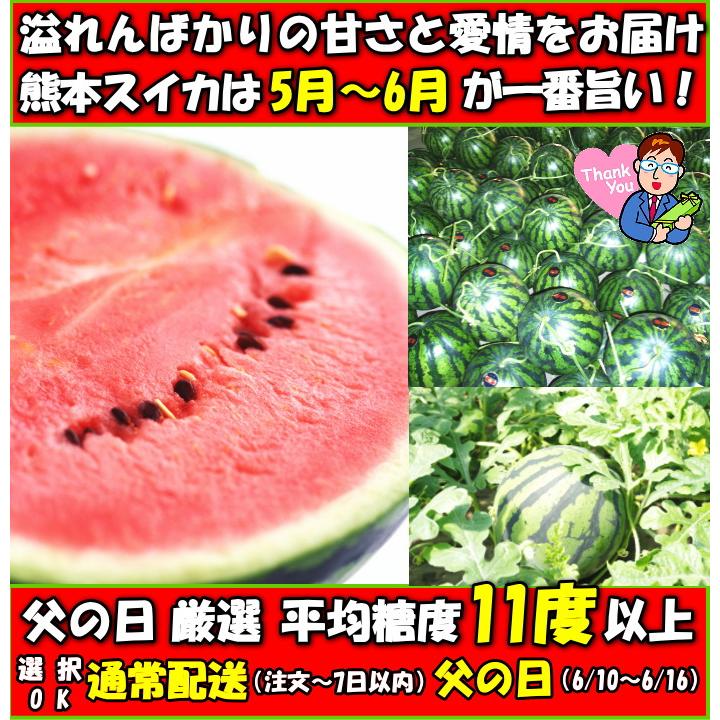 スイカ 熊本 父の日 ギフト 大玉 甘い 糖度11度 2L〜L 1玉 約5〜6人前 安心の特別栽培認定 プレゼント 2024｜cooksanchoku｜05