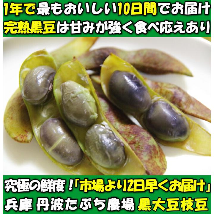 枝豆 丹波 黒豆 完熟 美味しい 黒枝豆 丹波篠山 大粒 2kg 500g×4袋入