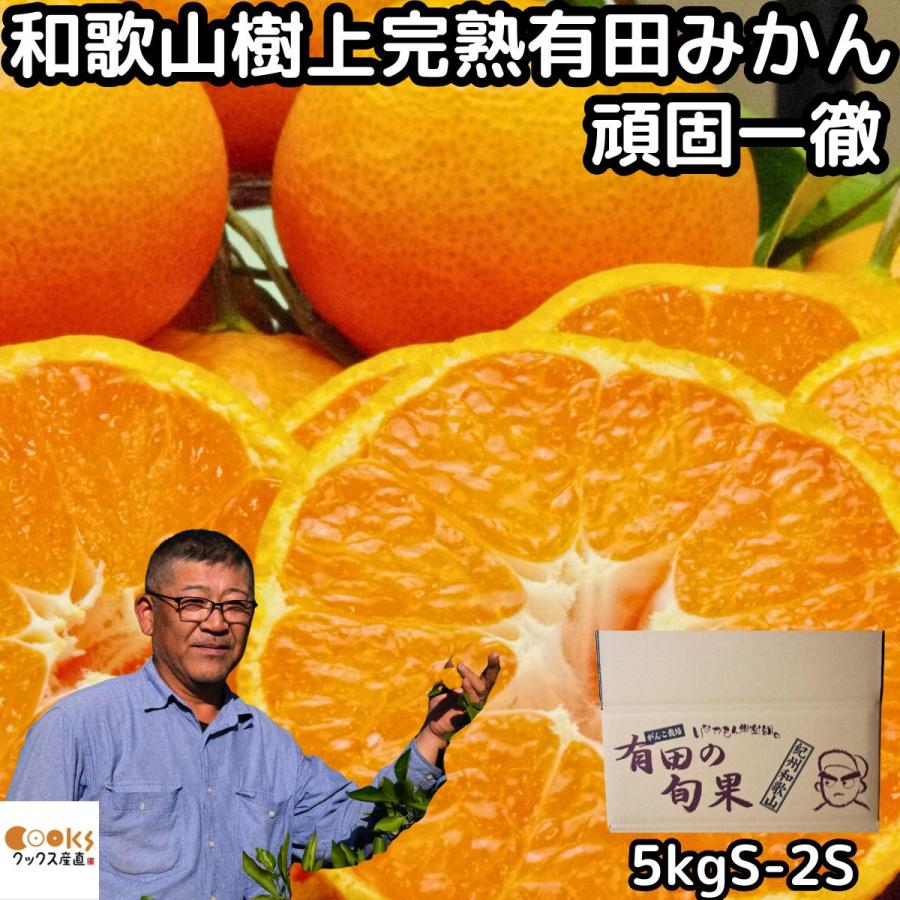 みかん 和歌山 有田 小玉 小粒 5kg s〜2s 贈答品 秀品 甘い 美味しい