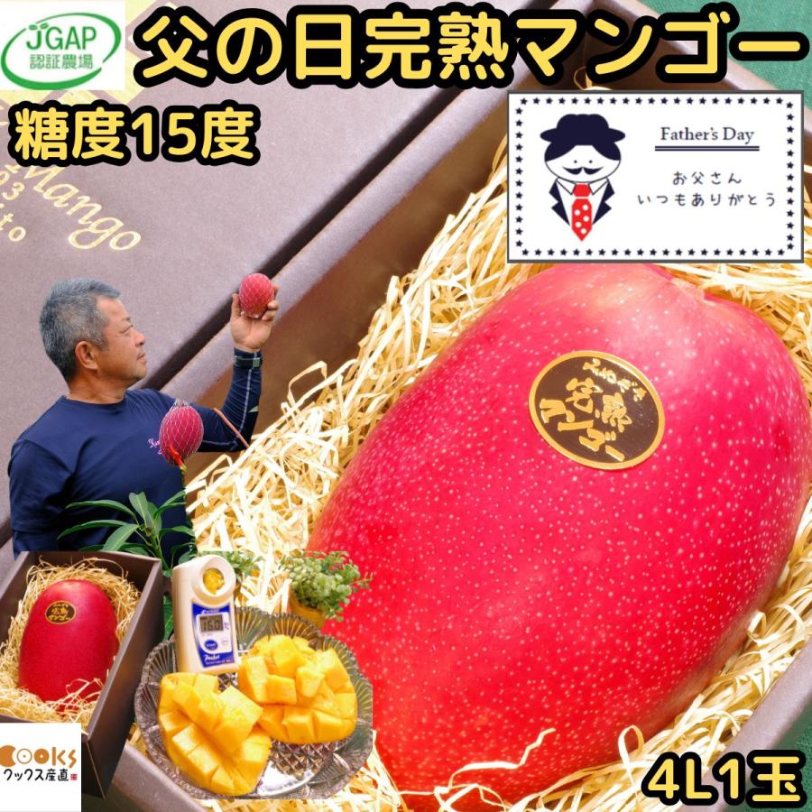 【タナカさま専用】宮崎県産　摘花マンゴー約10キロ タナカさま専用】宮崎県産 摘花マンゴー約10キロ Amazon.co.jp