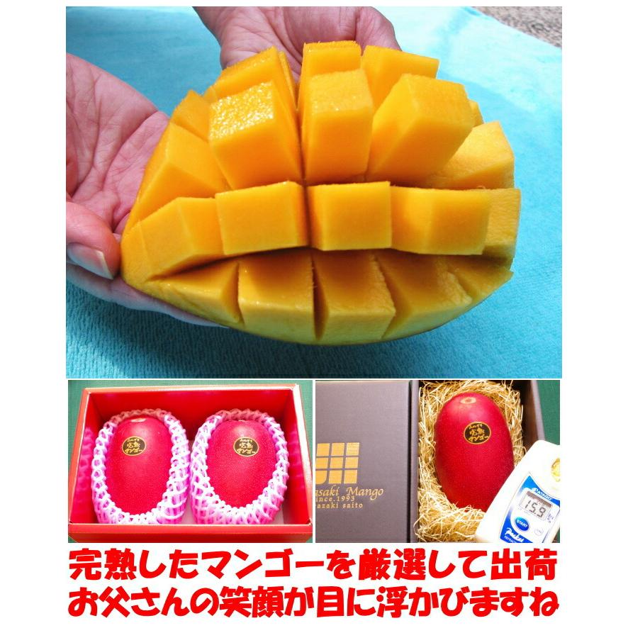 宮崎マンゴー 楽天市場】マンゴー みやざき完熟マンゴー 赤秀 5Lサイズ 650g