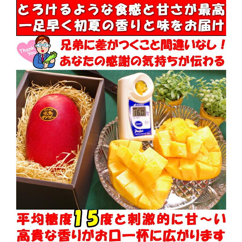 マンゴー 父の日 2玉 ギフト 宮崎 完熟マンゴー 赤秀 糖度15度 3l 化粧