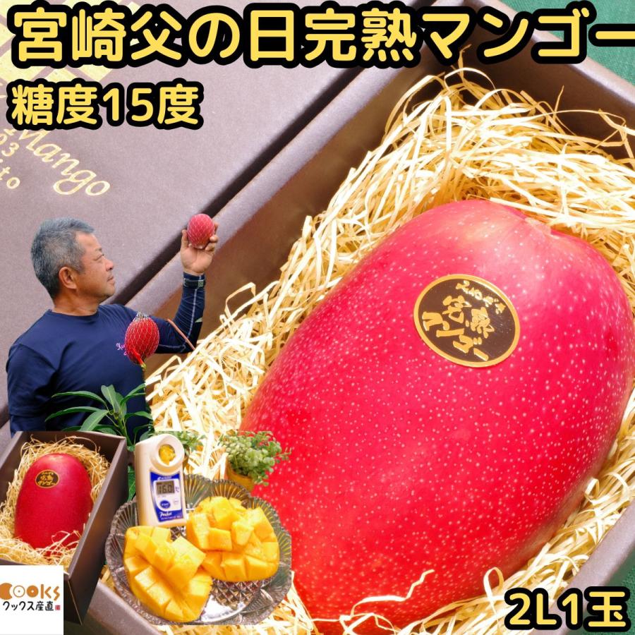 マンゴー 母の日 ギフト プレゼント 宮崎 完熟マンゴー 赤秀 糖度15度