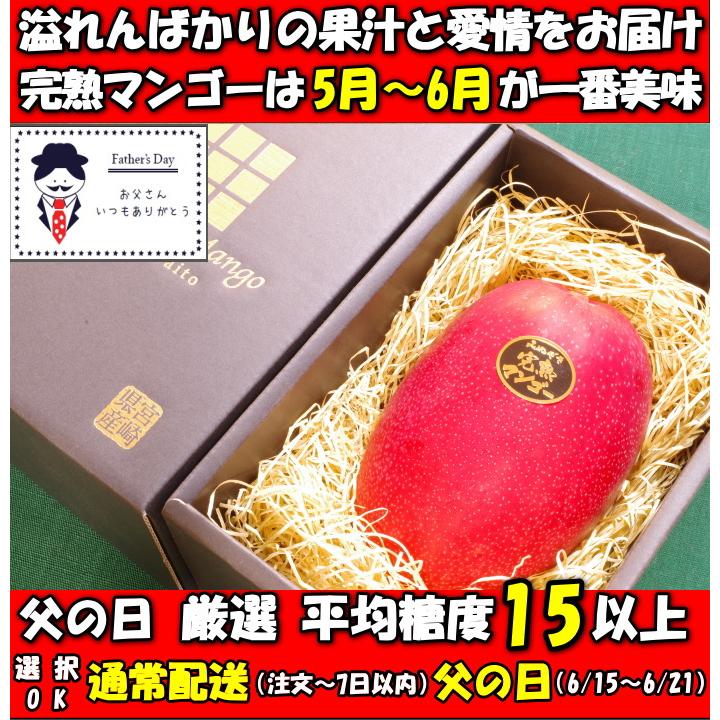 マンゴー 父の日 ギフト プレゼント 宮崎 完熟マンゴー 赤秀 糖度15度 