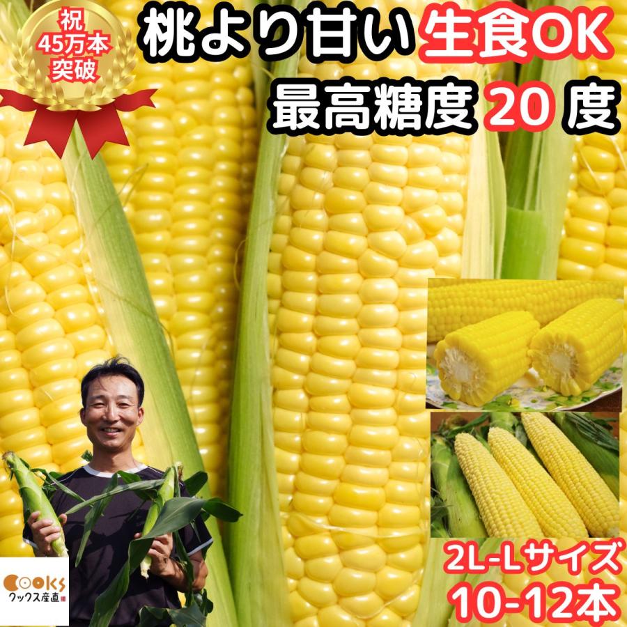出荷中 とうもろこし 桃より甘い A品 贈答 生で食べれる 累計19万本突破 甘い 朝採 恵味 長野産 生トウモロコシ 2l L 10 12本 お中元 内祝 21 送料無料 Nagano Corn01 クックス産直ヤフー店 通販 Yahoo ショッピング