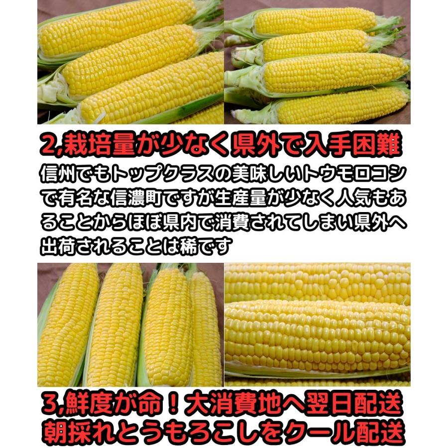 桃より甘い 最高糖度20度 45万本突破 長野 信州 信濃町
