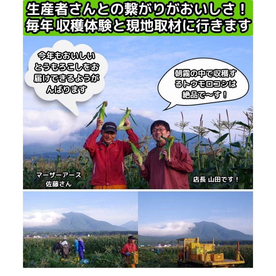とうもろこし 桃より甘い 最高糖度20度 56万本突破 生食Ok 長野 信濃町