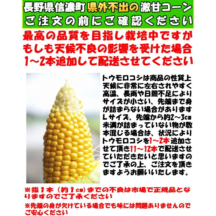 とうもろこし 桃より甘い 生で食べれる 累計190 000本突破 県外不出 甘い 朝採 恵味 長野産 生トウモロコシ 2l L サイズ 10 12本 お中元 内祝 21 送料無料 Nagano Corn01 クックス産直ヤフー店 通販 Yahoo ショッピング