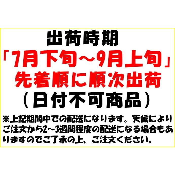 とうもろこし 桃より甘い 生で食べれる 累計190 000本突破 県外不出 甘い 朝採 恵味 長野産 生トウモロコシ 2l L サイズ 10 12本 お中元 内祝 21 送料無料 Nagano Corn01 クックス産直ヤフー店 通販 Yahoo ショッピング