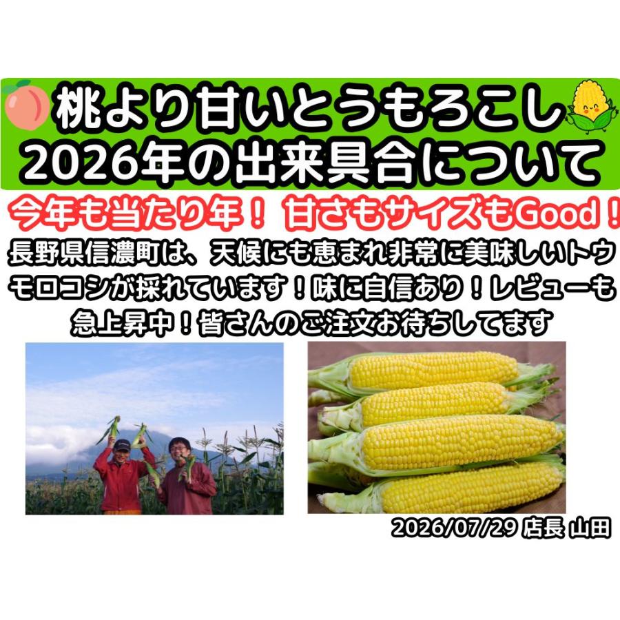 とうもろこし 桃より甘い 最高糖度20度 56万本突破 生食Ok 長野 信濃町