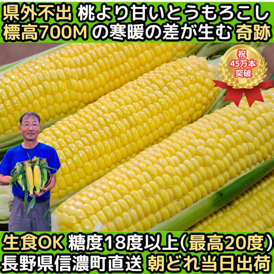 出荷中 桃より甘い 最高糖度20度 45万本突破 長野 信州 信濃町 
