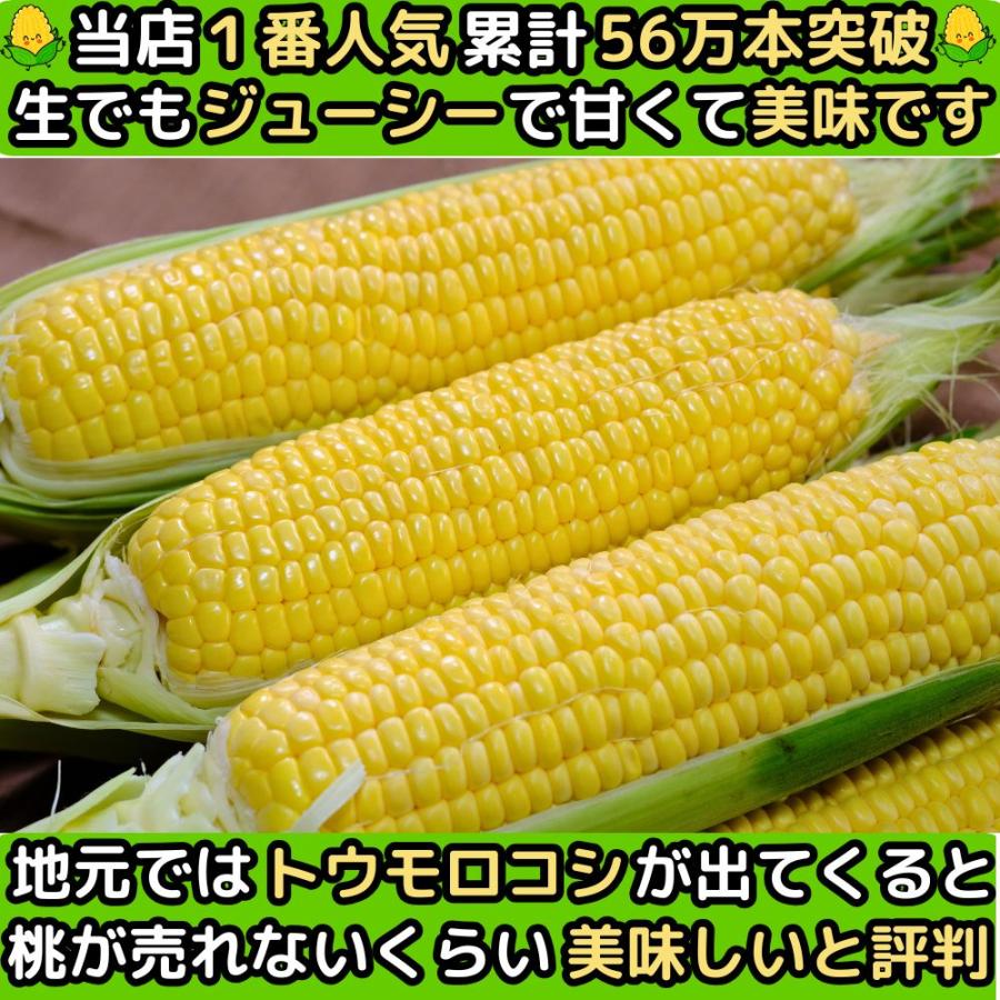 とうもろこし 桃より甘い 最高糖度20度 56万本突破 生食Ok 長野 信濃町
