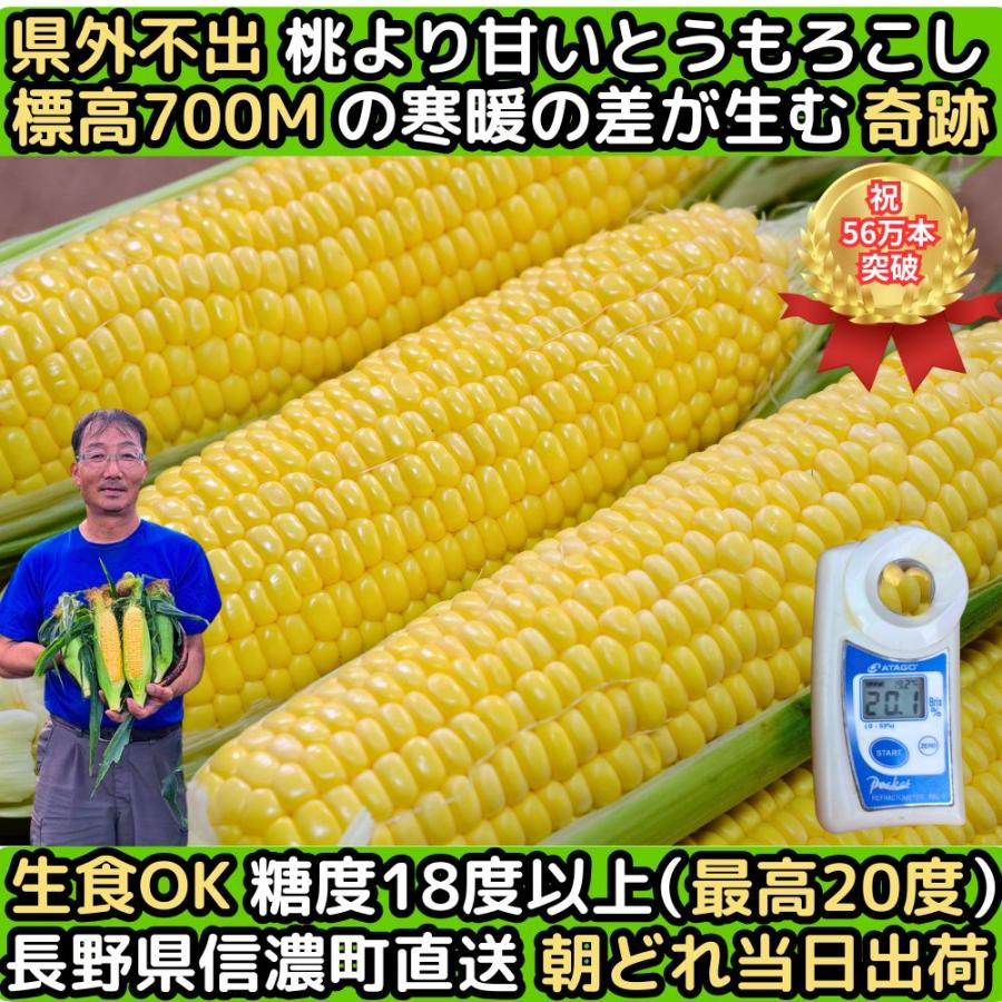 とうもろこし 桃より甘い 最高糖度20度 56万本突破 生食Ok 長野 信濃町
