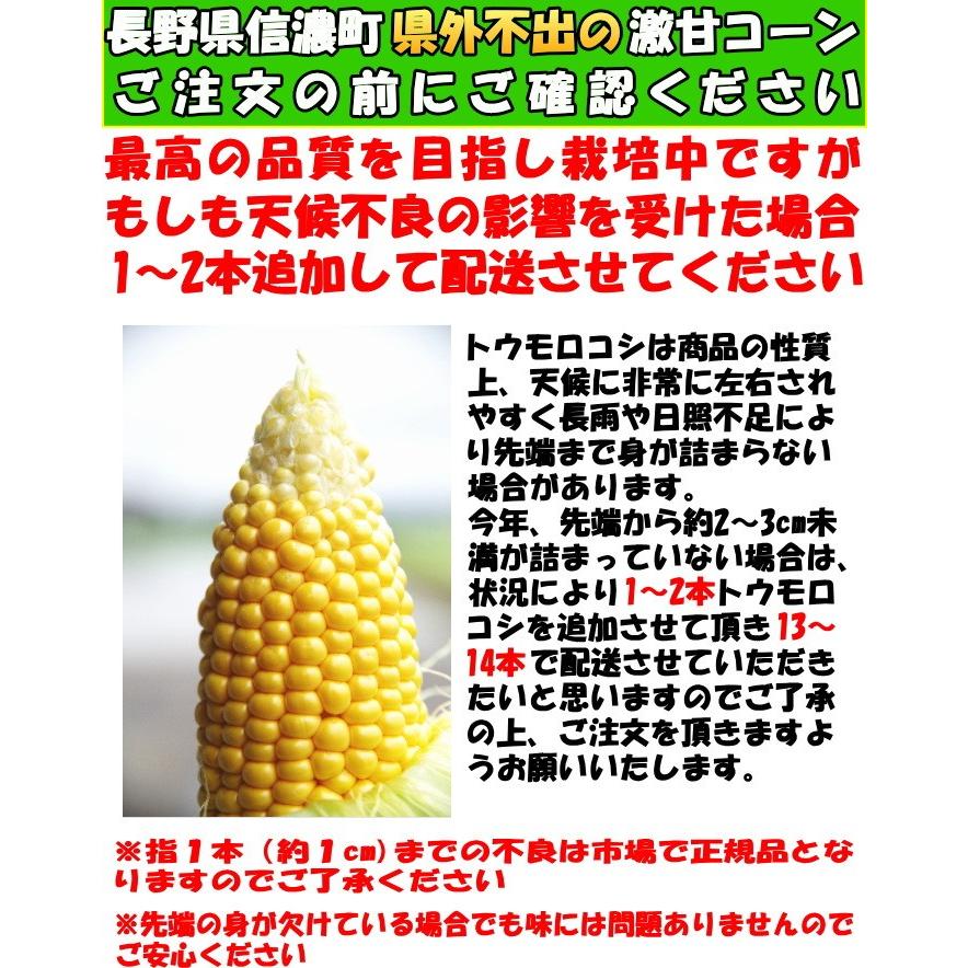 桃より甘い とうもろこし 生で食べれる 累計190,000本突破 県外不出 甘い 朝採 恵味 長野産 トウモロコシ Lサイズ 12本 3.6〜4.5kg お中元 送料無料｜cooksanchoku｜18