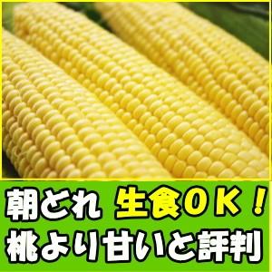 桃より甘い とうもろこし 生で食べれる 累計190,000本突破 県外不出 甘い 朝採 恵味 長野産 トウモロコシ Lサイズ 12本 3.6〜4.5kg お中元 送料無料｜cooksanchoku｜03