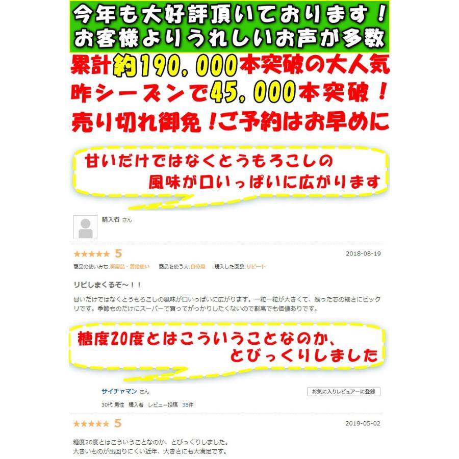 桃より甘い とうもろこし 生で食べれる 累計190,000本突破 県外不出 甘い 朝採 恵味 長野産 トウモロコシ Lサイズ 12本 3.6〜4.5kg お中元 送料無料｜cooksanchoku｜05