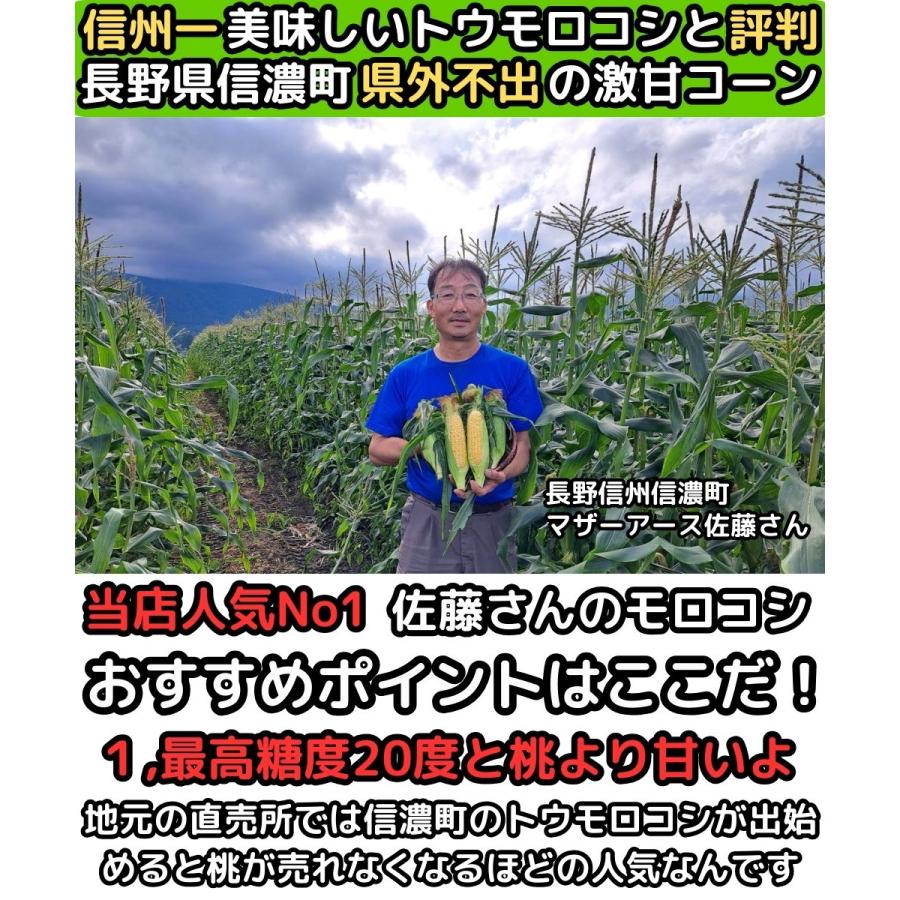 とうもろこし わけあり 桃より甘い 2L-L混合 12本 朝採 甘い 県外不出
