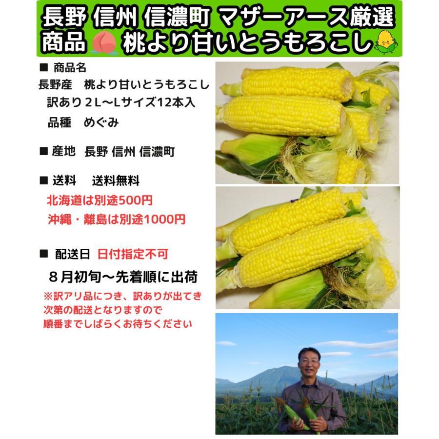 とうもろこし わけあり 桃より甘い 2L-L混合 12本 朝採 甘い 県外不出