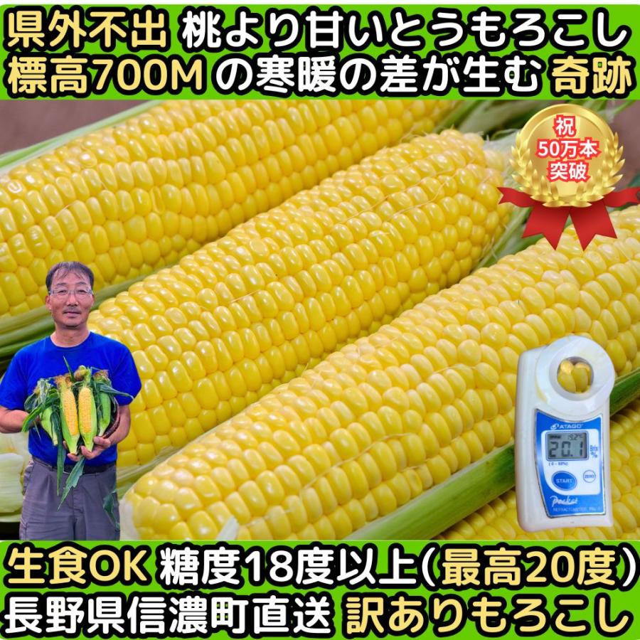 とうもろこし わけあり 桃より甘い 2L-L混合 12本 朝採 甘い 県外不出